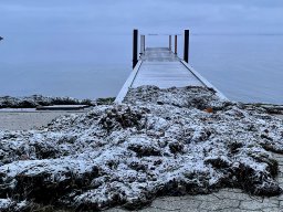 December Morning at the Harbour